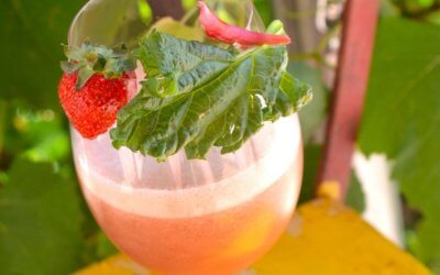 Erdbeer-Rhabarber-Drink