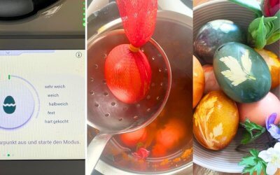Eier färben und kochen im TM6 „Eier kochen“ Modi